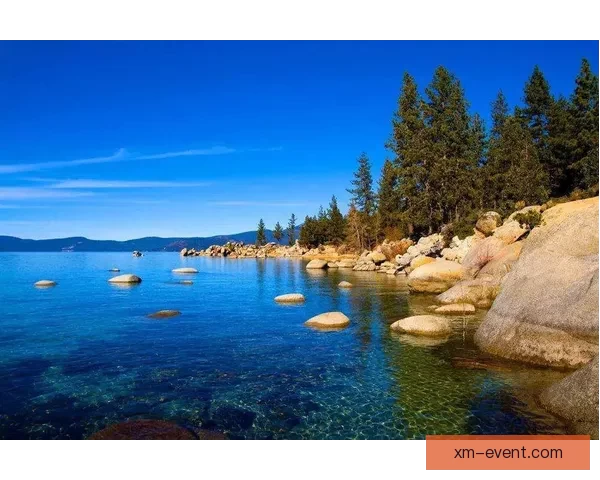 拉拉维亚谈全勤目标 能保持健康是最大的能力